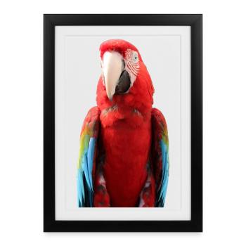 Parrots T-shirt Gift - Framed poster (27 × 37 cm) - black - Front