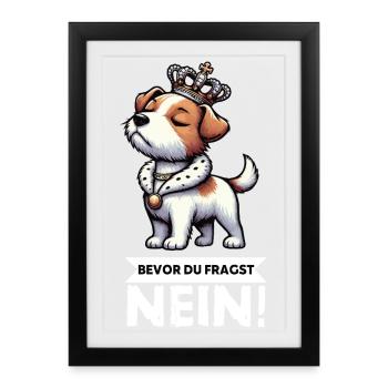 Avant que vous ne demandiez Jack Russel Terrier Jackie Terrier - Affiche encadrée (27 × 37 cm) - noir - Devant