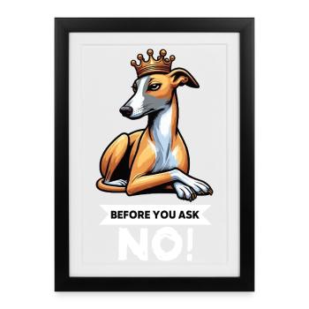 Avant de demander Whippet Lévrier Whippets Lévriers - Affiche encadrée (27 × 37 cm) - noir - Devant