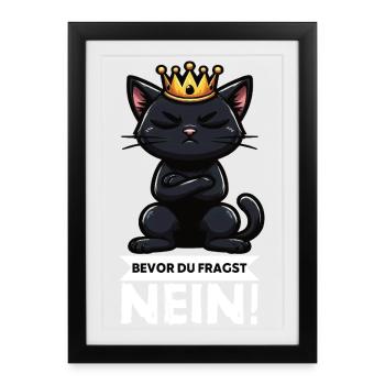 Avant que tu ne demandes Pas de chats Chats Amateur des chats - Affiche encadrée (27 × 37 cm) - noir - Devant