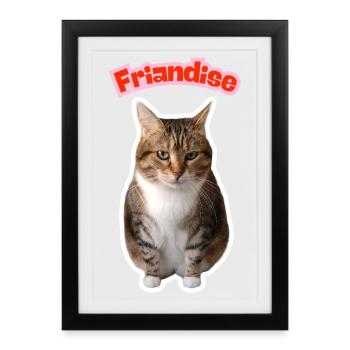 Missty friandise - Affiche encadrée (27 × 37 cm) - noir - Devant