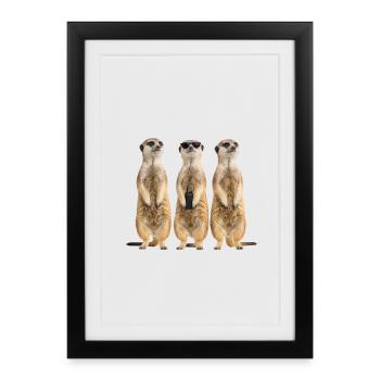 Funny Erdmänchen Security Team - Framed poster (27 × 37 cm) - black - Front