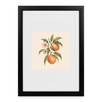 Sweet as a Peach | Vintage Peach Botanical Design - Framed poster (27 × 37 cm) - black - Front