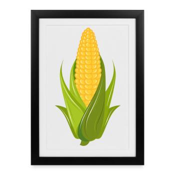 Hand drawn corn on the cob with leaves - Framed poster (27 × 37 cm) - black - Front