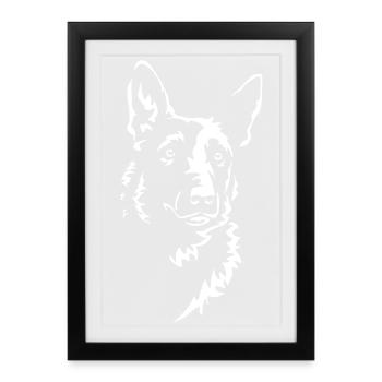 Malinois Head « Black Edition » - Affiche encadrée (27 × 37 cm) - noir - Devant