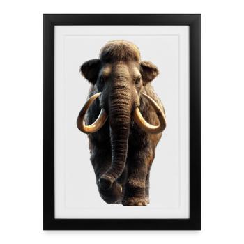 Mammouth Mammouth Laineux Âge glaciaire Mammouths Mammouth Doux - Affiche encadrée (27 × 37 cm) - noir - Devant