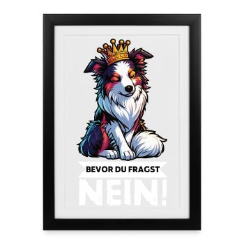 Avant que vous ne demandiez : Berger australien Aussie Aussie - Affiche encadrée (27 × 37 cm) - noir - Devant