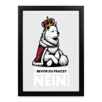 Before you ask: White Shepherd Shepherd - Framed poster (27 × 37 cm) - black - Front