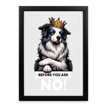 Avant que vous ne demandiez Border Collie Hütehund Collie - Affiche encadrée (27 × 37 cm) - noir - Devant