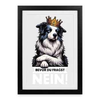 Avant que vous ne demandiez : Border Collie, Chien de Troupeau, Chien Collie - Affiche encadrée (27 × 37 cm) - noir - Devant