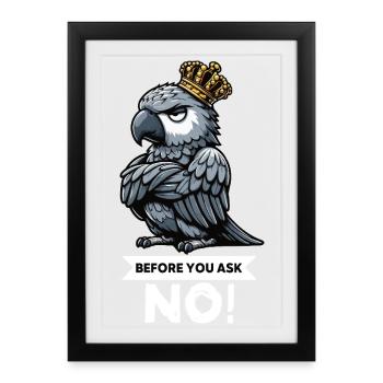 Before You Ask African Grey Parrot Parrot Parrot Holder - Framed poster (27 × 37 cm) - black - Front