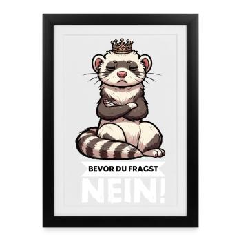 Avant que vous ne demandiez. Pas de furet-furet propriétaire - Affiche encadrée (27 × 37 cm) - noir - Devant