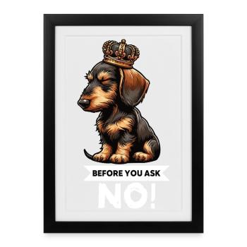 Avant de demander teckel à poils forts teckel - Affiche encadrée (27 × 37 cm) - noir - Devant