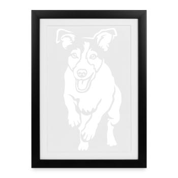 Jack Russell Terrier "Black Edition" - Framed poster (27 × 37 cm) - black - Front