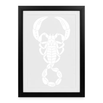 Scorpion blanc - Affiche encadrée (27 × 37 cm) - noir - Devant