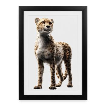 Gepard Cheetah Raubkatze Katzen Liebhaber Geparden - Gerahmtes Poster (27 × 37 cm) - Schwarz - Vorne
