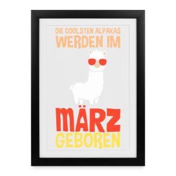 Anniversaire de mars, Alpaga Drôle de parole - Affiche encadrée (27 × 37 cm) - noir - Devant