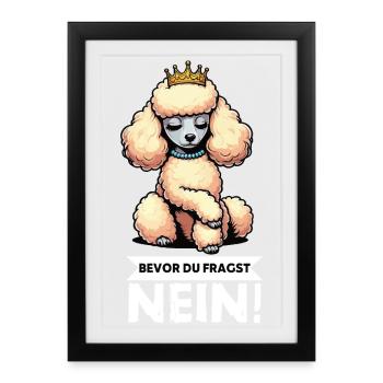 Avant de demander un Caniche Propriétaire de Caniche Chien - Affiche encadrée (27 × 37 cm) - noir - Devant