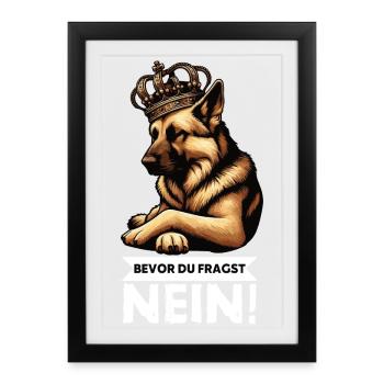 Avant que vous ne demandiez aux bergers bergers allemands - Affiche encadrée (27 × 37 cm) - noir - Devant