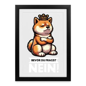 Avant que tu ne demandes à Shiba Inu Shiba Shiba Inus, propriétaire de Shiba Inus - Affiche encadrée (27 × 37 cm) - noir - Devant