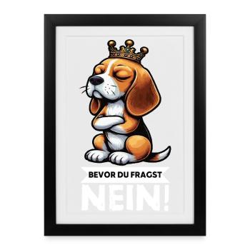 Avant que vous ne demandiez : Beagle Beagle Propriétaire de Beagle Holder - Affiche encadrée (27 × 37 cm) - noir - Devant