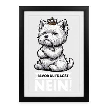 Avant que vous ne demandiez, pas de Westie Westland Terrier - Affiche encadrée (27 × 37 cm) - noir - Devant