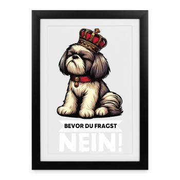 Bevor Du Fragst Nein Shih tzu Shih tzus Shih  - Gerahmtes Poster (27 × 37 cm) - Schwarz - Vorne