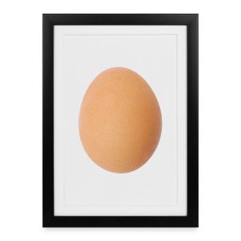 Motif nature du motif brun œuf - Affiche encadrée (27 × 37 cm) - noir - Devant