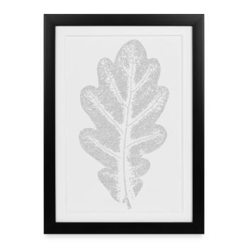 Leaf OAK / Oak Leaf WHITE - Framed poster (27 × 37 cm) - black - Front