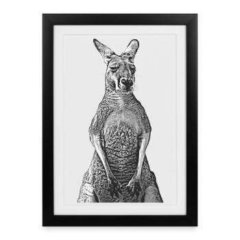 Kangaroo lineart - Framed poster (27 × 37 cm) - black - Front