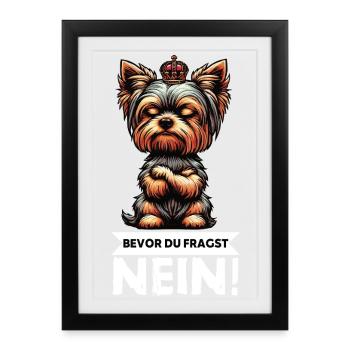 Avant de demander Yorkshire Terrier Yorkshire Yorkie Yorkie - Affiche encadrée (27 × 37 cm) - noir - Devant