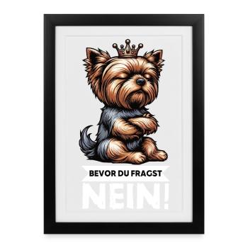 Avant de demander Yorkshire Terrier Yorkshire Yorkie Yorkie - Affiche encadrée (27 × 37 cm) - noir - Devant