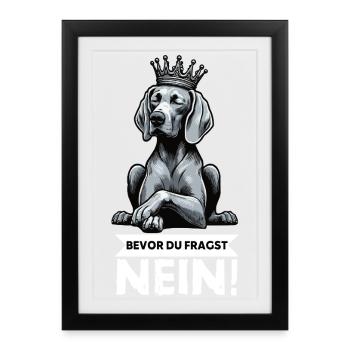 Avant que vous ne demandiez : pas de propriétaire de Weimaraner Weimaraner - Affiche encadrée (27 × 37 cm) - noir - Devant