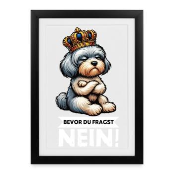 Avant que vous ne demandiez, aucun propriétaire havanais - Affiche encadrée (27 × 37 cm) - noir - Devant
