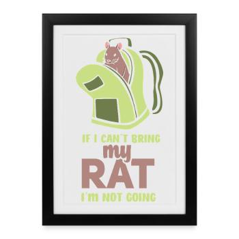 Rat, rat de maison, propriétaire de rats, amoureux des rats - Affiche encadrée (27 × 37 cm) - noir - Devant