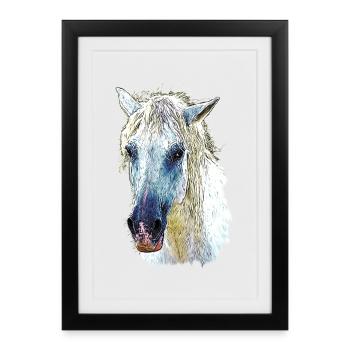 camargue horse - Framed poster (27 × 37 cm) - black - Front