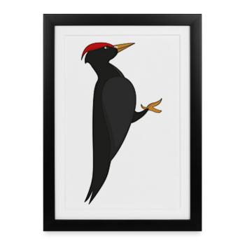 Graphique du pic noir – Portrait d’oiseau moderne - Affiche encadrée (27 × 37 cm) - noir - Devant