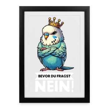 Avant que tu ne demandes à Perruche Welli Wellis - Affiche encadrée (27 × 37 cm) - noir - Devant