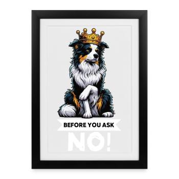Avant de demander aux Australian Shepherds Aussie Aussies - Affiche encadrée (27 × 37 cm) - noir - Devant