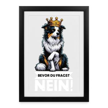 Avant que vous ne demandiez : Berger australien Aussie Aussie - Affiche encadrée (27 × 37 cm) - noir - Devant