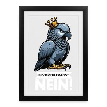Avant que vous ne demandiez : pas de perroquet gris d’Afrique, perroquet, perroquet, perroquet, perroquet - Affiche encadrée (27 × 37 cm) - noir - Devant