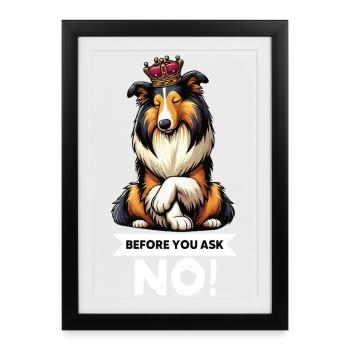 Avant de demander Collie, Collieowner Collie, Collie. - Affiche encadrée (27 × 37 cm) - noir - Devant