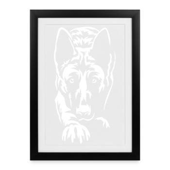 Malinois "Black Edition" - Framed poster (27 × 37 cm) - black - Front