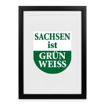 Saxony is green white state flag - Framed poster (27 × 37 cm) - black - Front