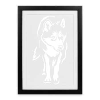 Husky « Édition Noire » - Affiche encadrée (27 × 37 cm) - noir - Devant