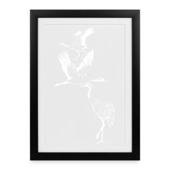 CRANES - Framed poster (27 × 37 cm) - black - Front