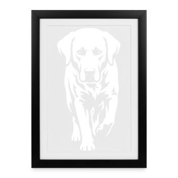Labrador – Élégance intemporelle - Affiche encadrée (27 × 37 cm) - noir - Devant