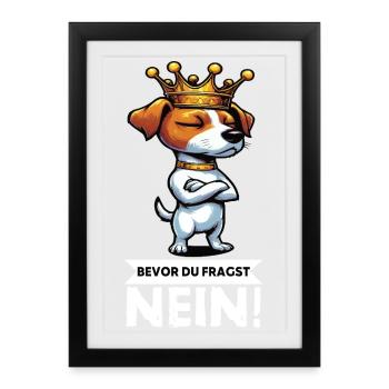 Avant que vous ne demandiez Jack Russel Terrier Jackie Terrier - Affiche encadrée (27 × 37 cm) - noir - Devant