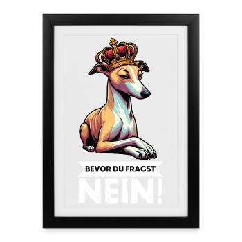 Avant de demander aux Whippets Greyhound Whippets - Affiche encadrée (27 × 37 cm) - noir - Devant