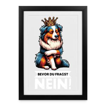Before you ask: Australian Shepherd Aussie Aussie - Framed poster (27 × 37 cm) - black - Front